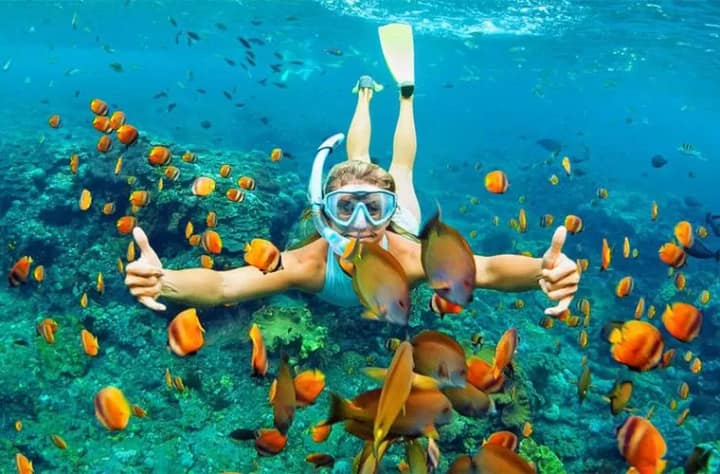Catalina Island Excursion from Punta Cana