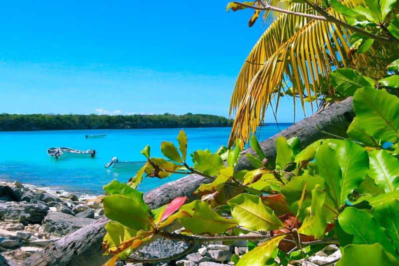 Rocky coastline with tropical leaves in the foreground and boats anchored in a turquoise bay
