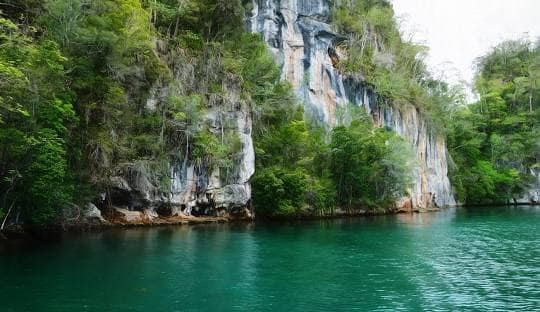 Los Haitises Excursion from Punta Cana