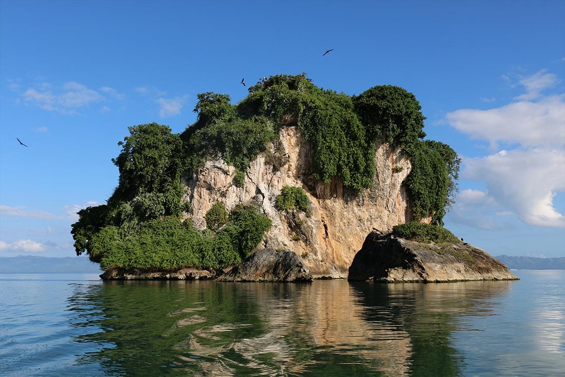 Limestone islet covered in vegetation with seabirds flying over it in Los Haitises