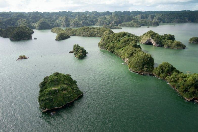 Aerial view of the vegetation-covered islets of Los Haitises National Park in Samaná Bay