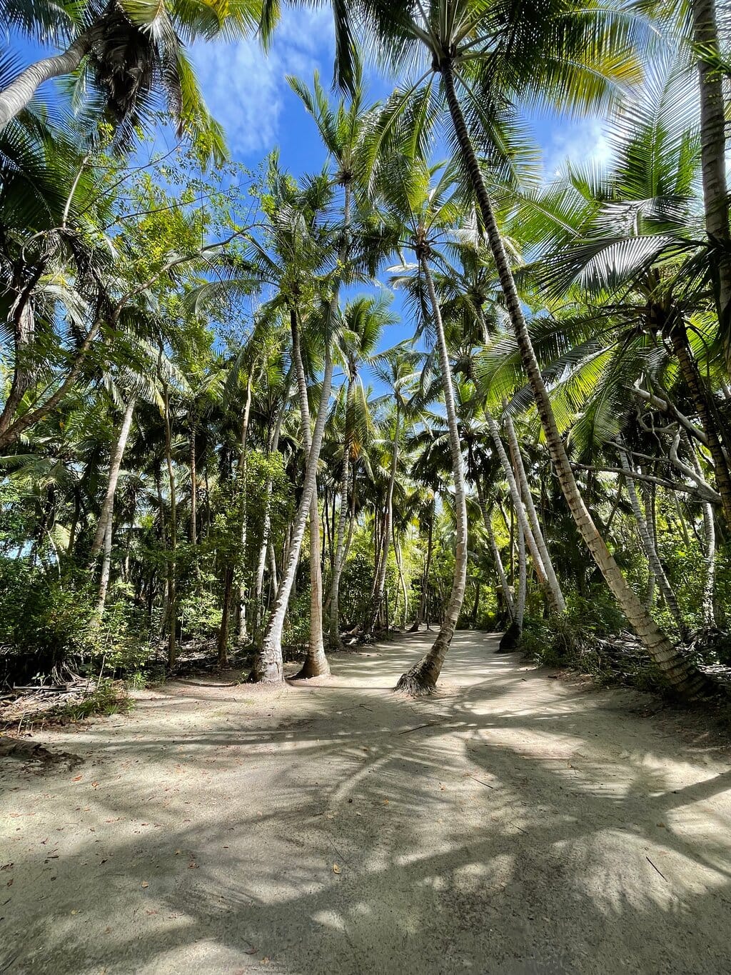 Isla Saona Excursión – foto 2
