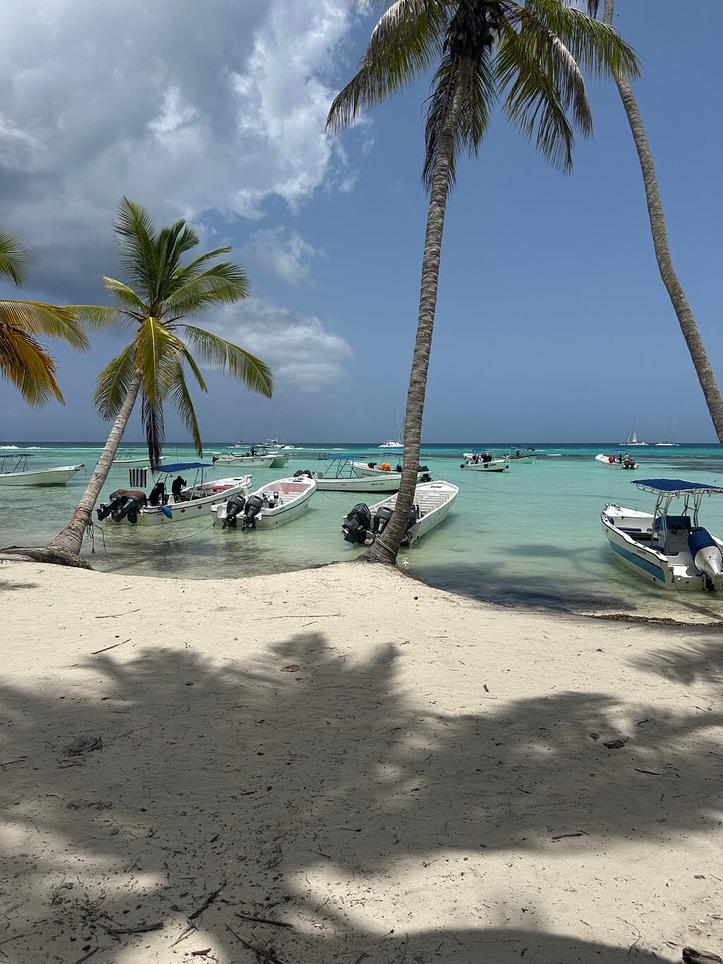 Isla Saona Excursión – foto 3