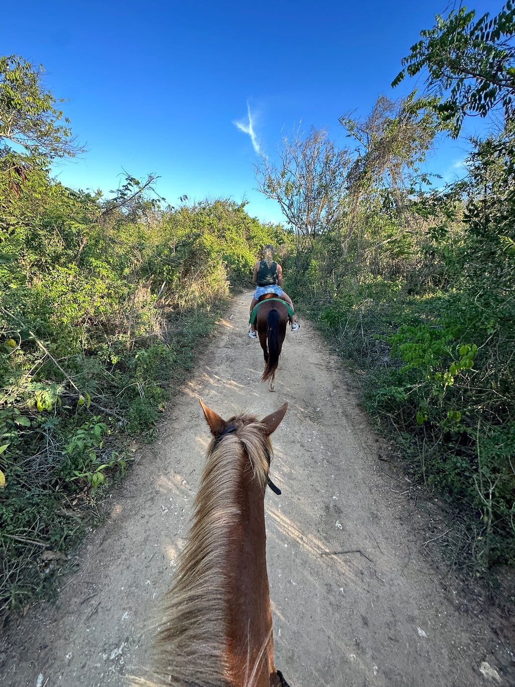Cabalgata en Punta Cana: Aventura a caballo en Playa Macao – foto 3