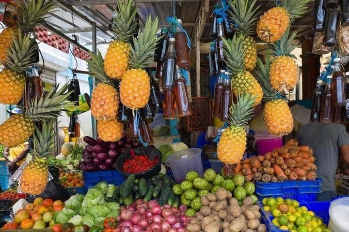 Punta Cana Cultural Safari