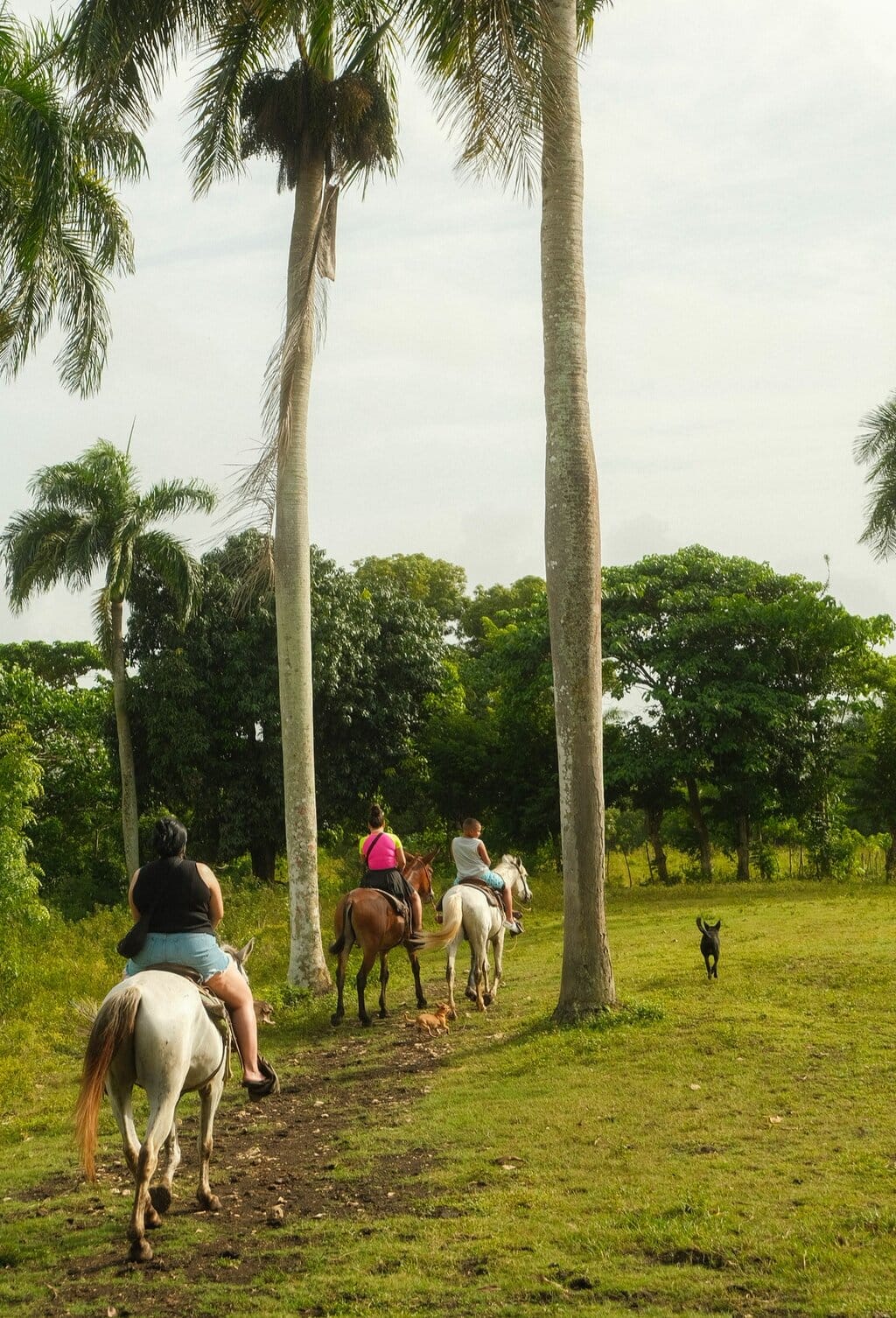Safari Cultural Punta Cana – foto 4