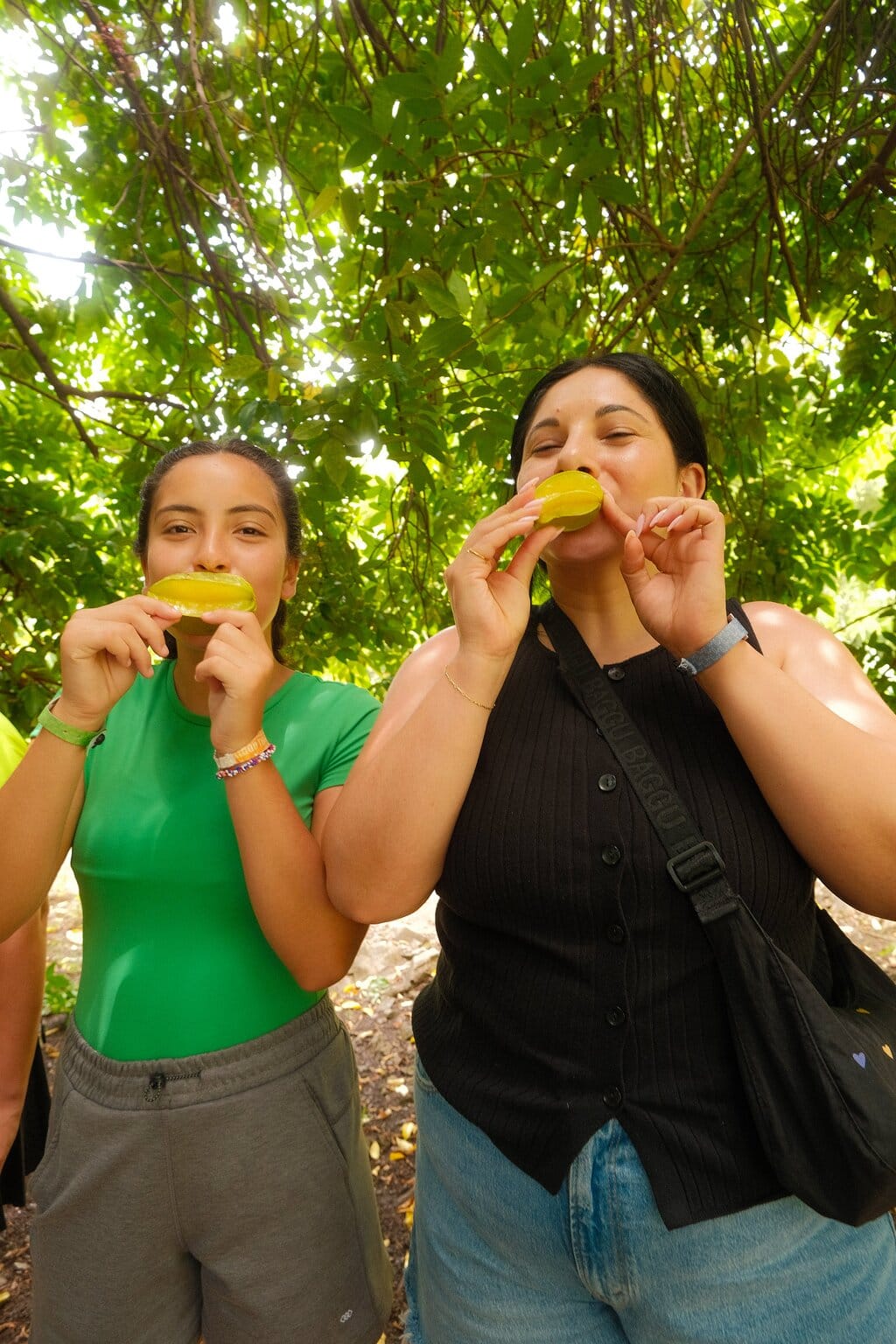 Safari Cultural Punta Cana – foto 5