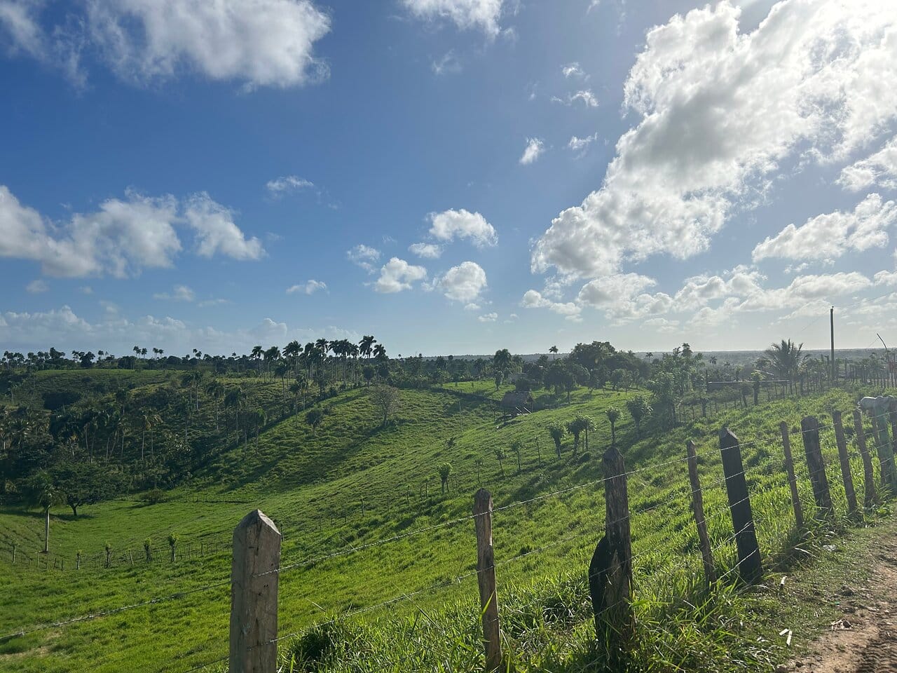 Zipline en Higüey desde Punta Cana – foto 4