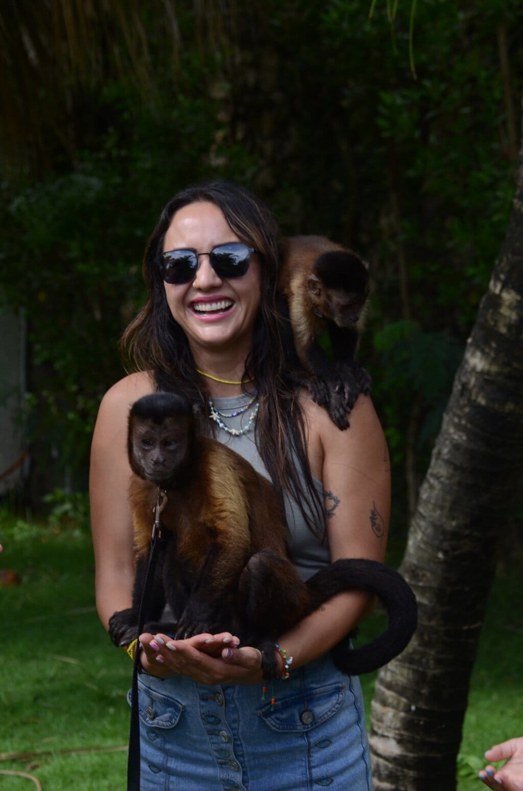 Excursión Monkey Adventure  en Punta Cana – foto 3