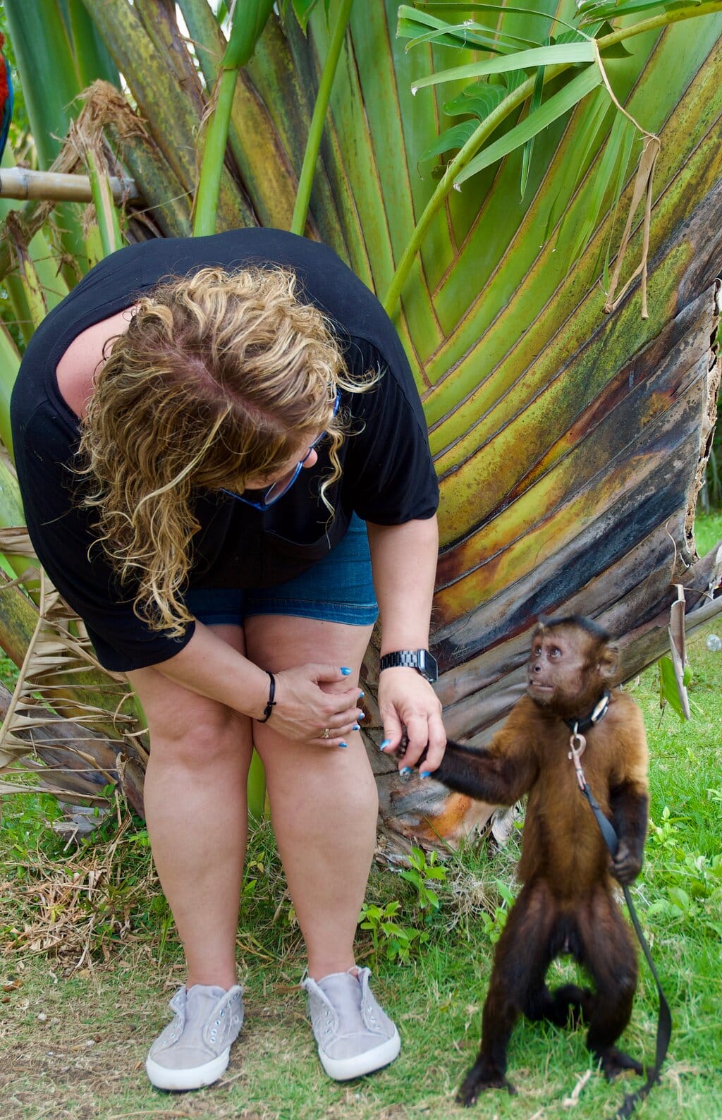 Excursión Monkey Adventure  en Punta Cana – foto 5
