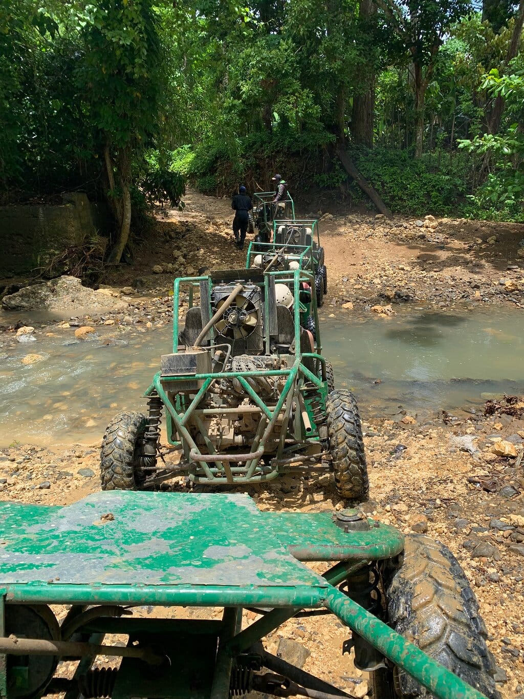 Line of green buggies crossing a shallow stream on a rainforest trail