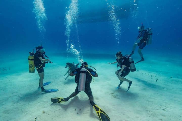 Catalina Island Excursion with Scuba Diving