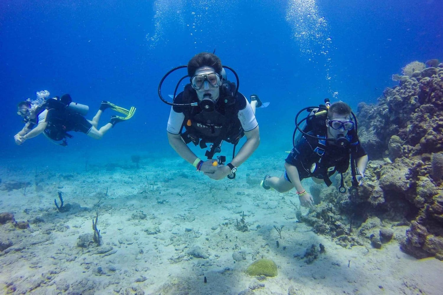 Excursión a Isla Catalina con Buceo – foto 5