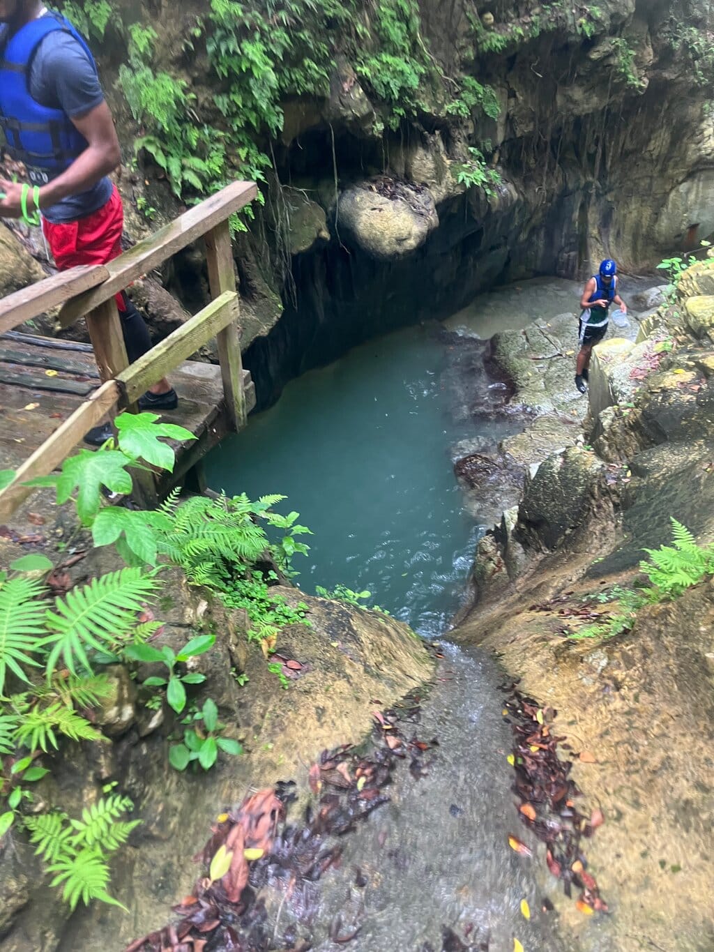 💦 Excursión 27 Charcos de Damajagua – foto 4