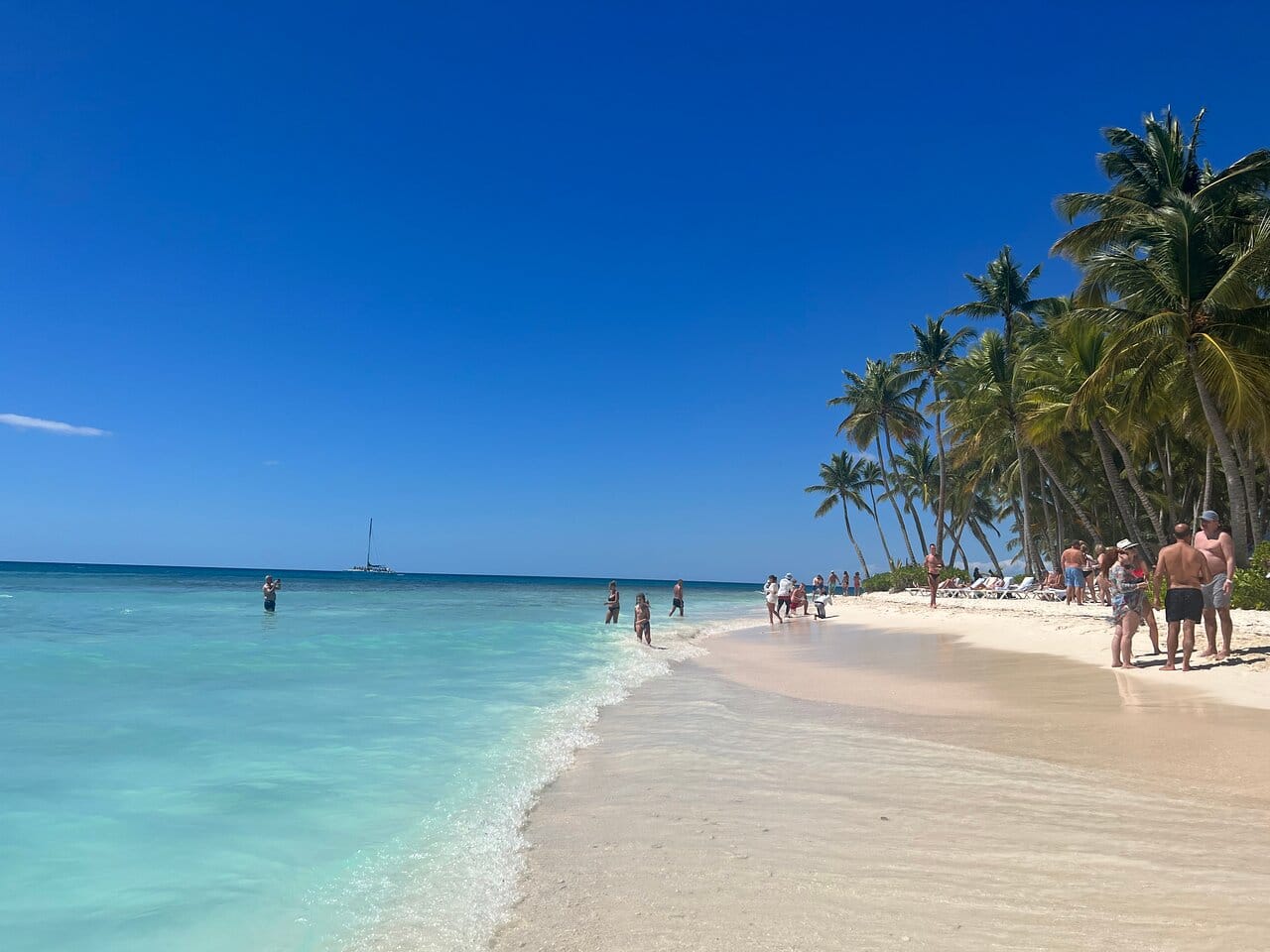 🏝️Isla Saona desde Samaná – foto 2