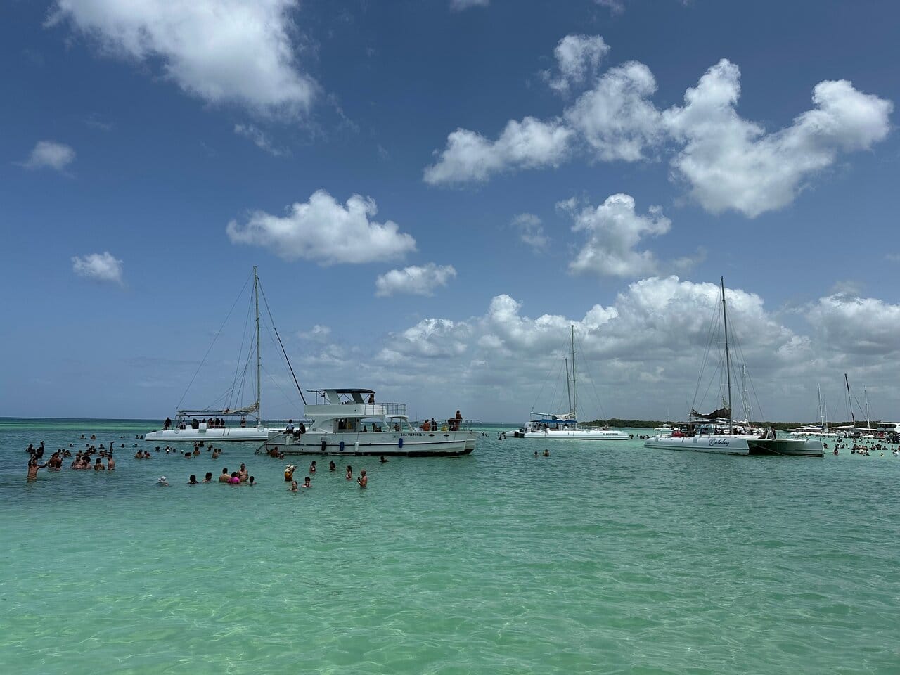 🏝️Isla Saona desde Samaná – foto 5