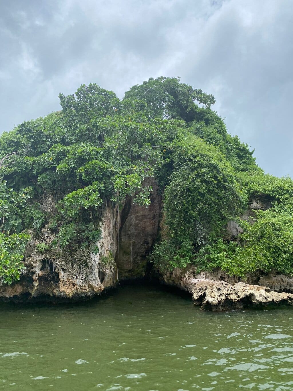 Los Haitises desde Samaná – foto 5