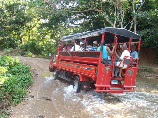 🐘 Safari en Samaná – foto 2