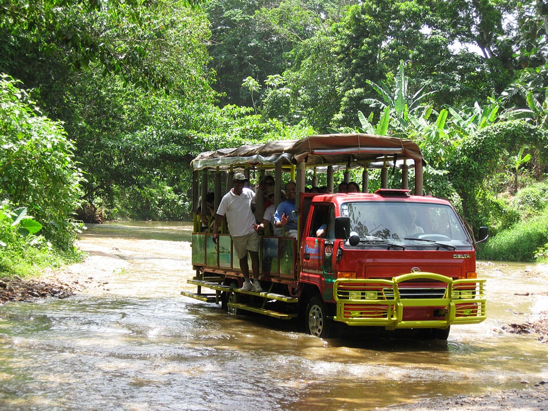 🐘 Safari en Samaná – foto 3