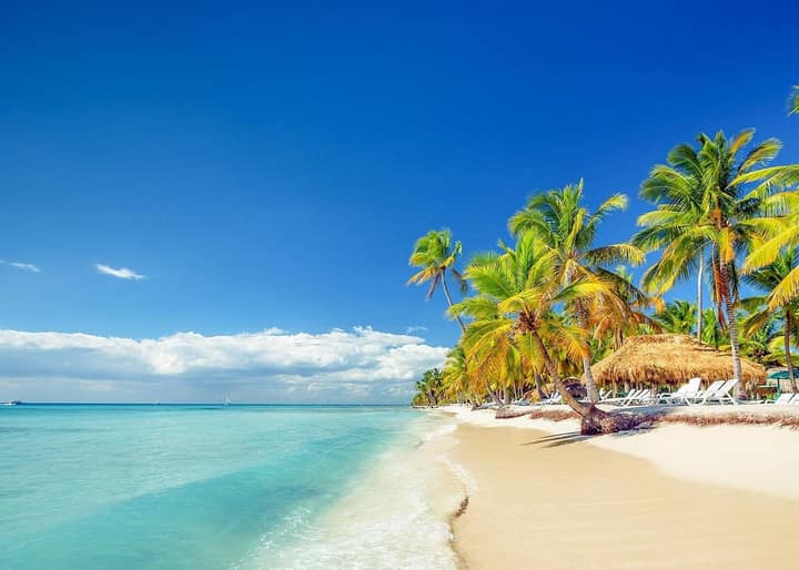 Saona Island VIP Tour: Hidden Beaches, Snorkeling & Mano Juan